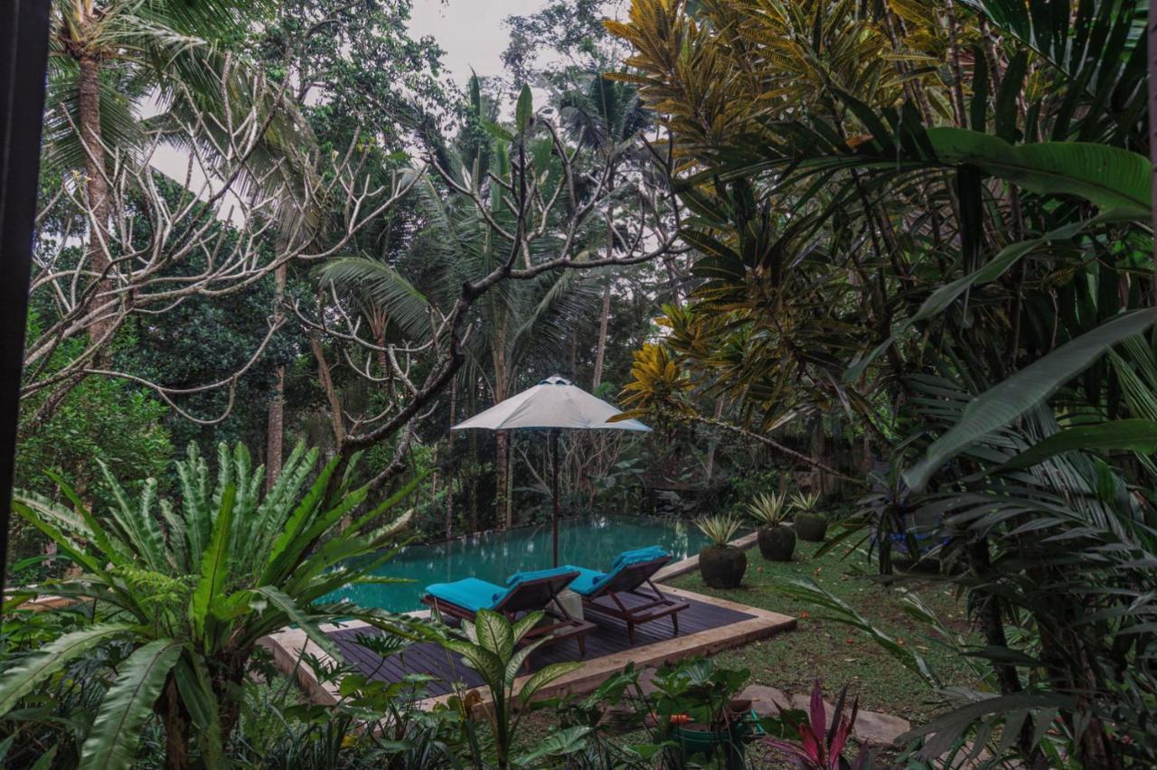 Casa de férias Leona *